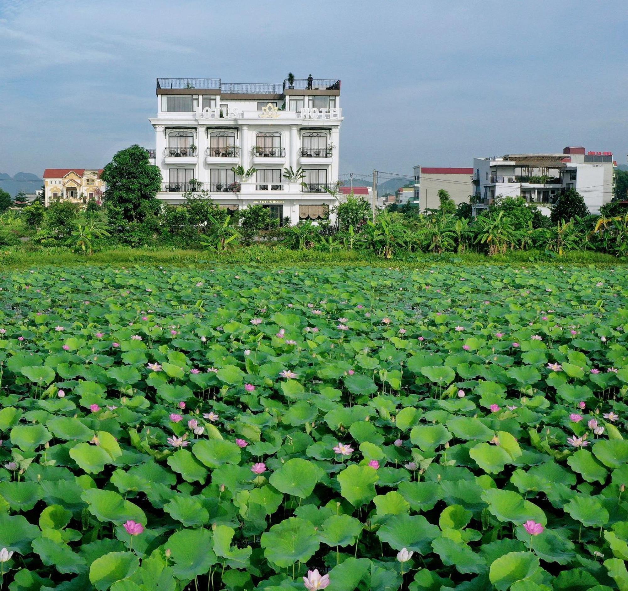 Lotus Hotel 닌빈 외부 사진
